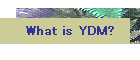 What is YDM?