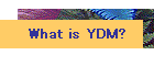 What is YDM?