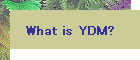 What is YDM?