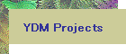 YDM Projects