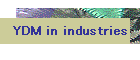 YDM in industries