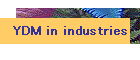 YDM in industries