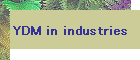 YDM in industries